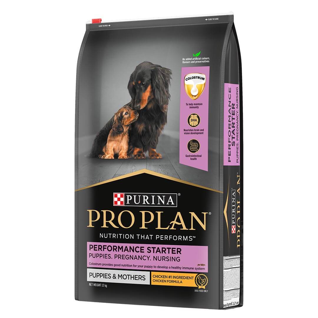 Nutrient Rich Puppy Starter Food for Medium Dogs Purina